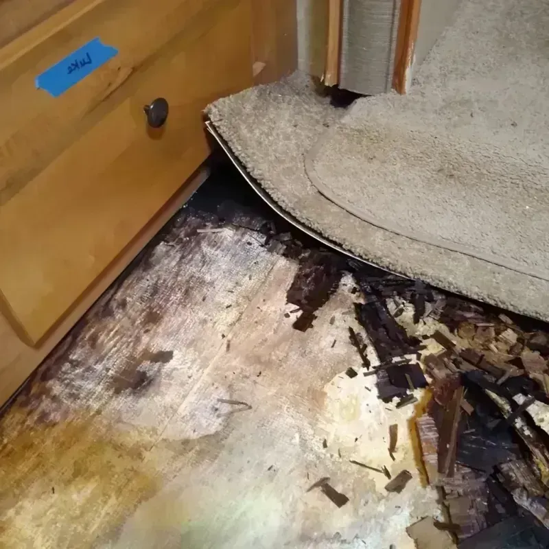 Wood Floor Water Damage in Harlan, IA